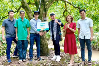 Để đa dạng hóa phương thức quảng bá đặc sản Đồng Tháp, nhà vườn tại đây cho khách hàng "nhận nuôi" cây xoài trong vườn.
