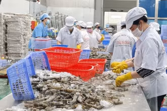 Tháng 7, kim ngạch xuất khẩu nông sản ước đạt 4,62 tỷ USD, tăng hơn 5% so với cùng kỳ năm trước. 