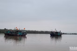 Thủ tướng Phạm Minh Chính vừa ký công điện yêu cầu tập trung phát hiện, điều tra và xác minh thông tin để xử lý vi phạm quy định về Hệ thống giám sát hành trình tàu cá (VMS). (Ảnh: PHÚC HUY)