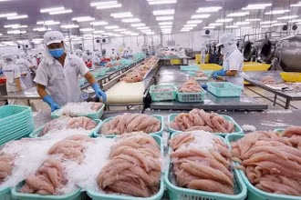 Trong 4 tháng đầu năm 2025, kim ngạch xuất khẩu thủy sản Việt Nam đạt 3,3 tỷ USD, tăng 21% so với cùng kỳ năm trước.