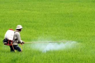 Trong bối cảnh phát triển nông nghiệp bền vững, việc sử dụng phân bón và thuốc bảo vệ thực vật an toàn, hiệu quả là một trong những vấn đề cấp thiết.