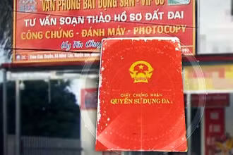 Ảnh minh họa.