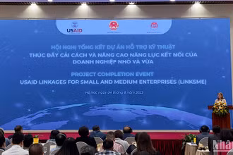 Quang cảnh Lễ tổng kết Dự án LinkSME.