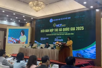 Chủ tịch Liên minh Hợp tác xã Việt Nam 2025 Cao Xuân Thu Vân phát biểu khai mạc.