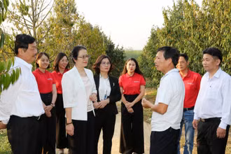 Ông Bùi Văn Quyển (áo trắng thứ hai từ phải sang) giới thiệu với Đoàn cán bộ Agribank về mô hình trồng sầu riêng được hình thành nên từ vốn vay ngân hàng.