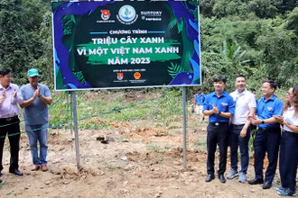 Chương trình “Triệu cây xanh-Vì một Việt Nam xanh” năm 2023 được triển khai với mục tiêu trồng mới cây xanh tại rừng phòng hộ đầu nguồn của tỉnh Bình Thuận. (Ảnh: Phú Hà)