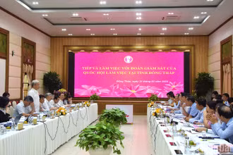 Quang cảnh buổi làm việc.