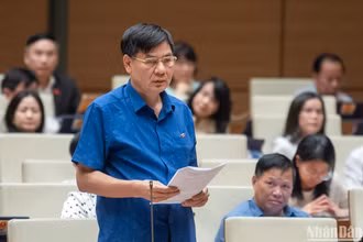 Đại biểu Lê Tất Hiếu (đoàn Vĩnh Phúc) đặt câu hỏi trong phiên chất vấn chiều 6/11. (Ảnh: DUY LINH)