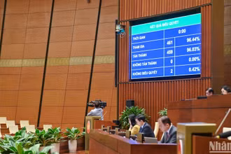 Quốc hội biểu quyết thông qua Luật Ban hành văn bản quy phạm pháp luật (sửa đổi) với tỷ lệ 96,03%. (Ảnh: DUY LINH)