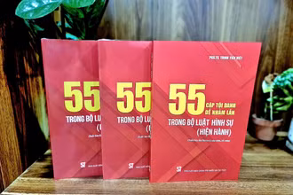 Cuốn sách “55 cặp tội danh dễ nhầm lẫn trong Bộ luật Hình sự (hiện hành)”.