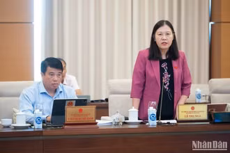 Chủ nhiệm Ủy ban Tư pháp của Quốc hội Lê Thị Nga phát biểu tại phiên họp sáng 12/7. (Ảnh: DUY LINH)