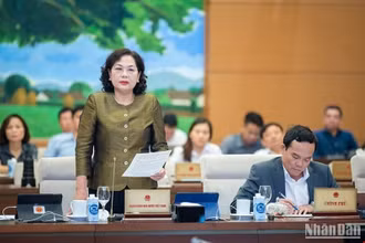 Thống đốc Ngân hàng Nhà nước Nguyễn Thị Hồng phát biểu tại phiên họp sáng 18/9. (Ảnh: DUY LINH)