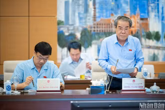 Trưởng Ban Dân nguyện trình bày báo cáo công tác dân nguyện của Quốc hội tháng 5 và tháng 6/2024. (Ảnh: DUY LINH)