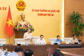Phó Chủ tịch Quốc hội Nguyễn Đức Hải điều hành nội dung phiên họp chiều 14/11. 