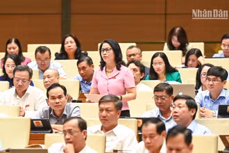 Đại biểu Quốc hội phát biểu ý kiến thảo luận ở hội trường ngày 1/11. (Ảnh: DUY LINH)