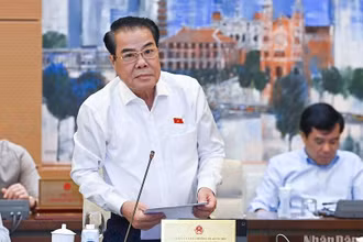 Trưởng Ban Dân nguyện Dương Thanh Bình báo cáo tại phiên họp. (Ảnh: DUY LINH)
