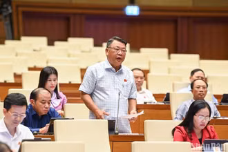 Đại biểu Quốc hội Nguyễn Tạo (đoàn Lâm Đồng) cho ý kiến về dự án Luật Căn cước công dân (sửa đổi) tại Hội nghị đại biểu Quốc hội hoạt động chuyên trách sáng 28/8. (Ảnh: DUY LINH)