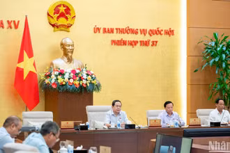 Tình trạng ủy quyền tiếp công dân tại bộ, ngành, địa phương vẫn còn nhiều