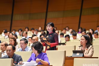Đại biểu Trần Thị Thanh Hương (đoàn An Giang) góp ý kiến về vấn đề phân loại và tái chế rác thải rắn. (Ảnh: DUY LINH)
