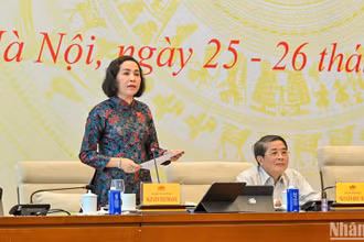 Phó Chủ tịch Quốc hội Nguyễn Thị Thanh phát biểu. (Ảnh: DUY LINH)