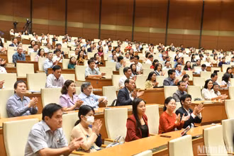 Các đại biểu Quốc hội dự phiên chất vấn và trả lời chất vấn ngày 8/11. (Ảnh: ĐĂNG KHOA)