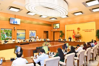 Một phiên họp của Ủy ban Thường vụ Quốc hội. (Ảnh: DUY LINH)