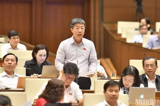Đại biểu Quốc hội Nguyễn Mạnh Hùng (đoàn Cần Thơ) góp ý kiến hoàn thiện dự thảo Luật Thủ đô (sửa đổi). (Ảnh: ĐĂNG KHOA)