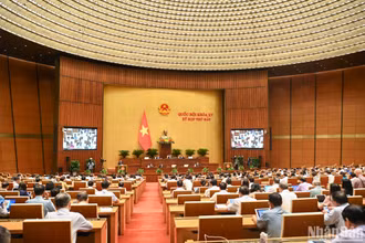 Quang cảnh phiên họp chiều 30/5. (Ảnh: DUY LINH)