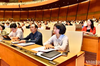 Các đại biểu Quốc hội dự phiên họp sáng 29/5. (Ảnh: ĐĂNG KHOA)