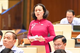 Đại biểu Quốc hội Huỳnh Thị Phúc (đoàn Bà Rịa - Vũng Tàu) góp ý kiến vào dự thảo Luật Kinh doanh bất động sản (sửa đổi). (Ảnh: DUY LINH)