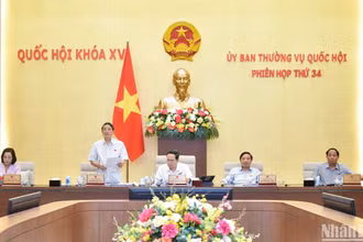 Phó Chủ tịch Quốc hội Nguyễn Đức Hải điều hành nội dung phiên họp, sáng 13/6. (Ảnh: DUY LINH)