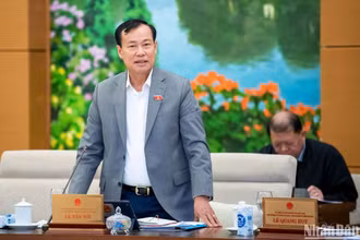 Làm rõ thêm căn cứ ban bố tình trạng khẩn cấp để bảo đảm tính thống nhất