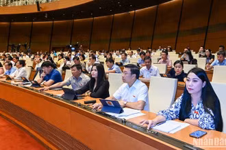 Đại biểu Quốc hội biểu quyết thông qua Nghị quyết. (Ảnh: DUY LINH)