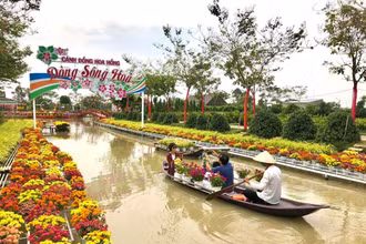Du khách tham quan, trải nghiệm tại Khu du lịch Cánh đồng hoa hồng, thành phố Sa Đéc, tỉnh Đồng Tháp. (Ảnh: HỮU NGHĨA)