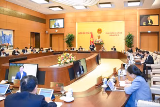 Quang cảnh Phiên họp thứ 29 của Ủy ban Thường vụ Quốc hội chiều 8/1. (Ảnh: DUY LINH)