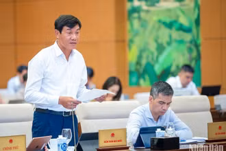 Phó Tổng Kiểm toán nhà nước Doãn Anh Thơ báo cáo tại phiên họp. (Ảnh: DUY LINH)