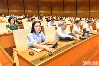 Các đại biểu Quốc hội biểu quyết thông qua Nghị quyết về phân bổ vốn Chương trình phục hồi, Chương trình mục tiêu quốc gia trong phiên họp sáng 22/6. (Ảnh: ĐĂNG KHOA)