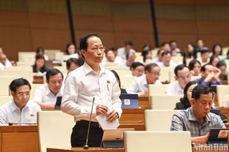 Đại biểu Nguyễn Trúc Sơn (đoàn Bến Tre) phát biểu ý kiến ở hội trường sáng 2/11. (Ảnh: DUY LINH)