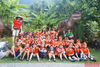 Các hoạt động trải nghiệm chương trình “Thông điệp xanh” của học sinh tiểu học và trung học cơ sở tại Khu du lịch Núi Thần Tài.