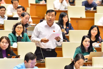 Đại biểu Thạch Phước Bình (đoàn Trà Vinh) phát biểu ý kiến thảo luận. (Ảnh: THỦY NGUYÊN)