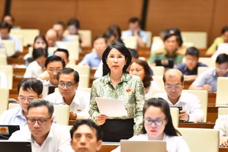 Đại biểu Trần Thị Nhị Hà (đoàn Hà Nội) phát biểu tại hội trường chiều 29/5. (Ảnh: ĐĂNG KHOA)