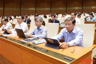Các đại biểu Quốc hội thảo luận ở hội trường về dự án Luật Hợp tác xã (sửa đổi) sáng 10/11. (Ảnh: THỦY NGUYÊN)