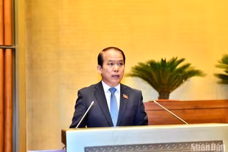 Chủ nhiệm Ủy ban Pháp luật của Quốc hội Hoàng Thanh Tùng trình bày Tờ trình tại phiên họp sáng 23/5. (Ảnh: ĐĂNG KHOA)