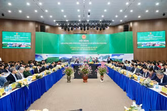 Quang cảnh Hội nghị. 