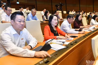 Các đại biểu Quốc hội biểu quyết thông qua Luật Tài nguyên nước (sửa đổi). (Ảnh: ĐĂNG KHOA)