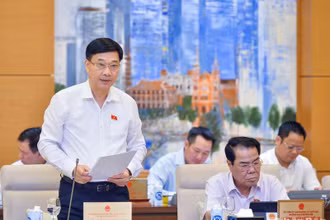 Chủ nhiệm Ủy ban Kinh tế Vũ Hồng Thanh trình bày tóm tắt báo cáo thẩm tra về các nội dung kinh tế-xã hội, cơ cấu lại nền kinh tế. (Ảnh: DUY LINH)