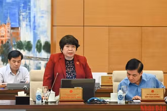 Chủ nhiệm Ủy ban Xã hội của Quốc hội Nguyễn Thúy Anh phát biểu ý kiến tại phiên họp. (Ảnh: DUY LINH)