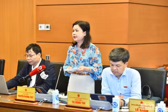 Đại biểu Nguyễn Phương Thủy (Đoàn Hà Nội) phát biểu trong phiên thảo luận tại tổ chiều 27/5. (Ảnh: ĐĂNG KHOA)