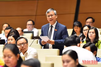 Đại biểu Nguyễn Anh Trí (Hà Nội) góp ý kiến vào dự án Luật Đất đai (sửa đổi) trong phiên họp chiều 14/11. (Ảnh: THỦY NGUYÊN)