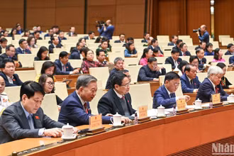Các đại biểu Quốc hội biểu quyết thông qua Luật Ban hành văn bản quy phạm pháp luật (sửa đổi). (Ảnh: DUY LINH)